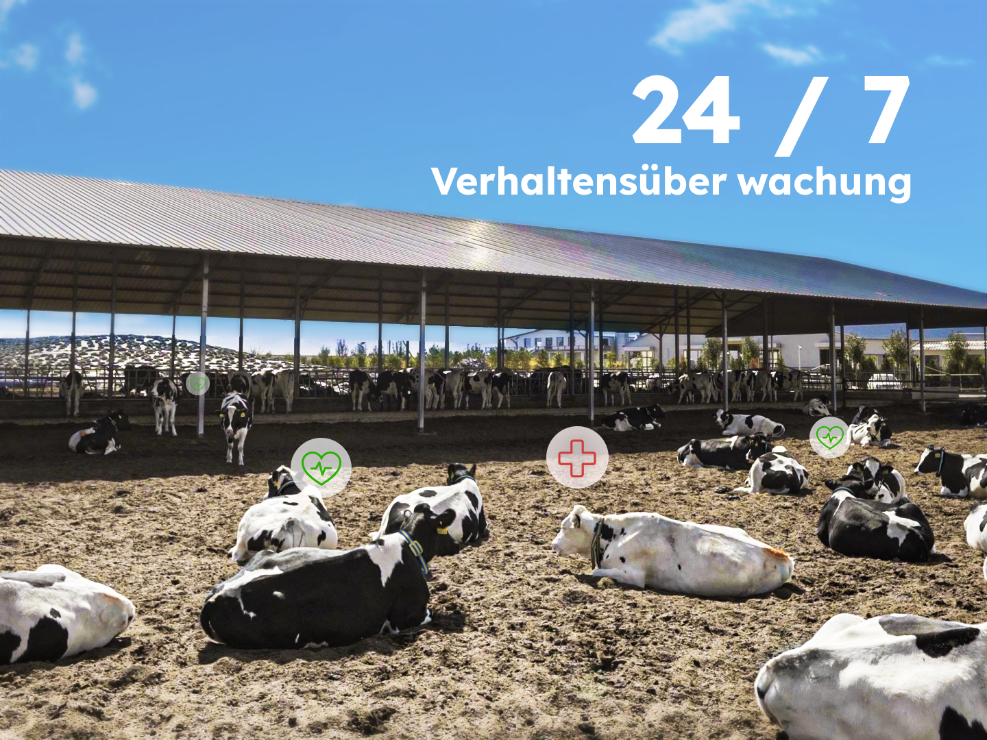 Svea Responder für Brunsterkennung/Tieraktivität