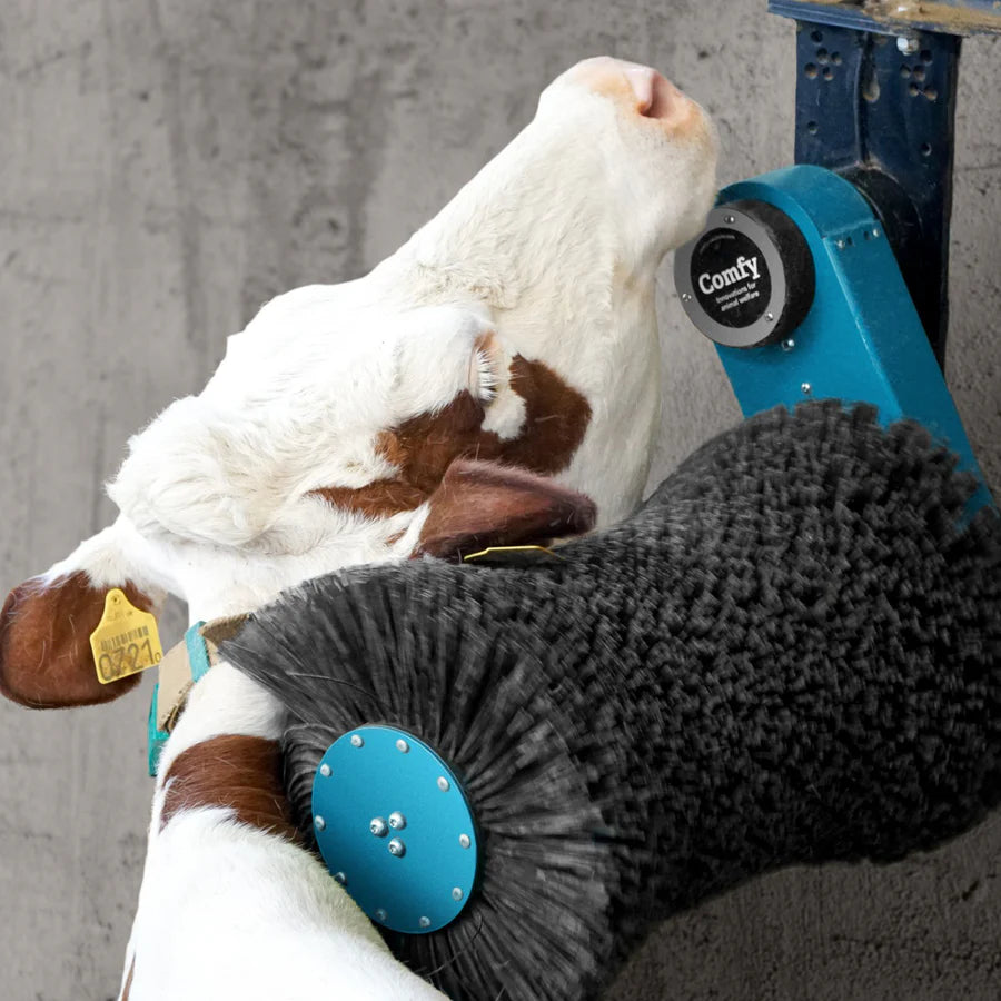 Cozy Cow Kuhbürste Blau