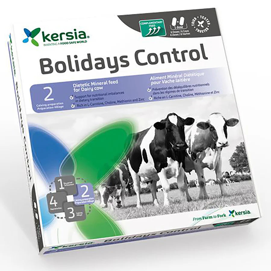 Bolidays Control Boli 12 Stück
