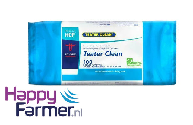 Teater Clean Reinigungstücher 100 Stk