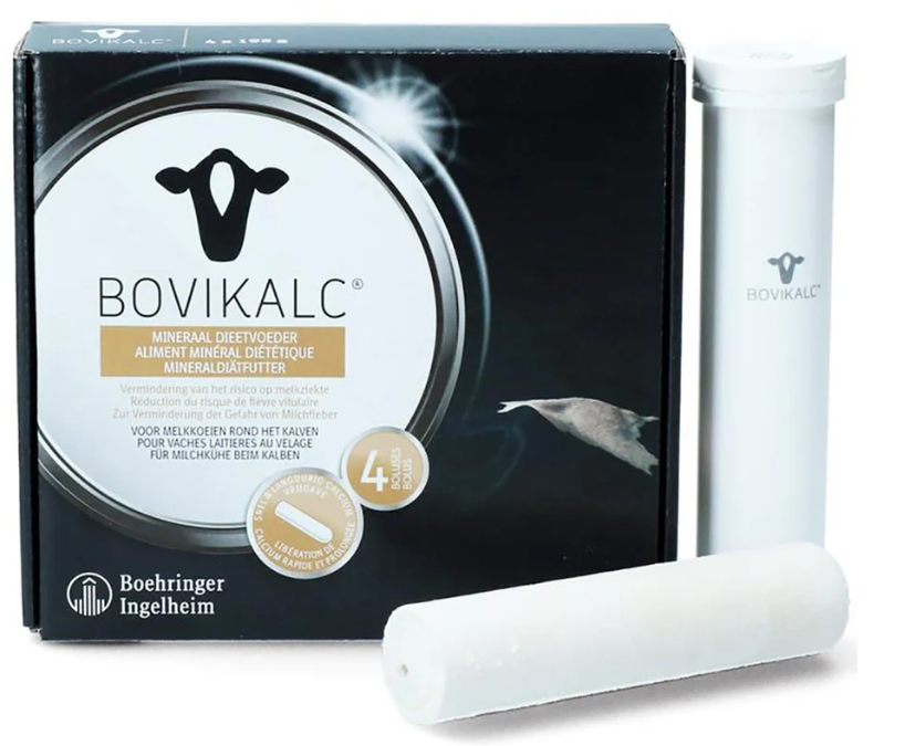 Bolus und Mineralien