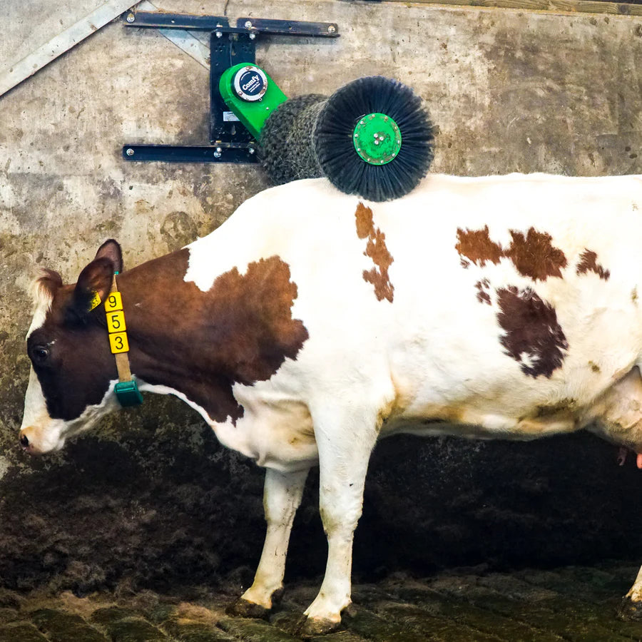 Cozy Cow Kuhbürste Grün