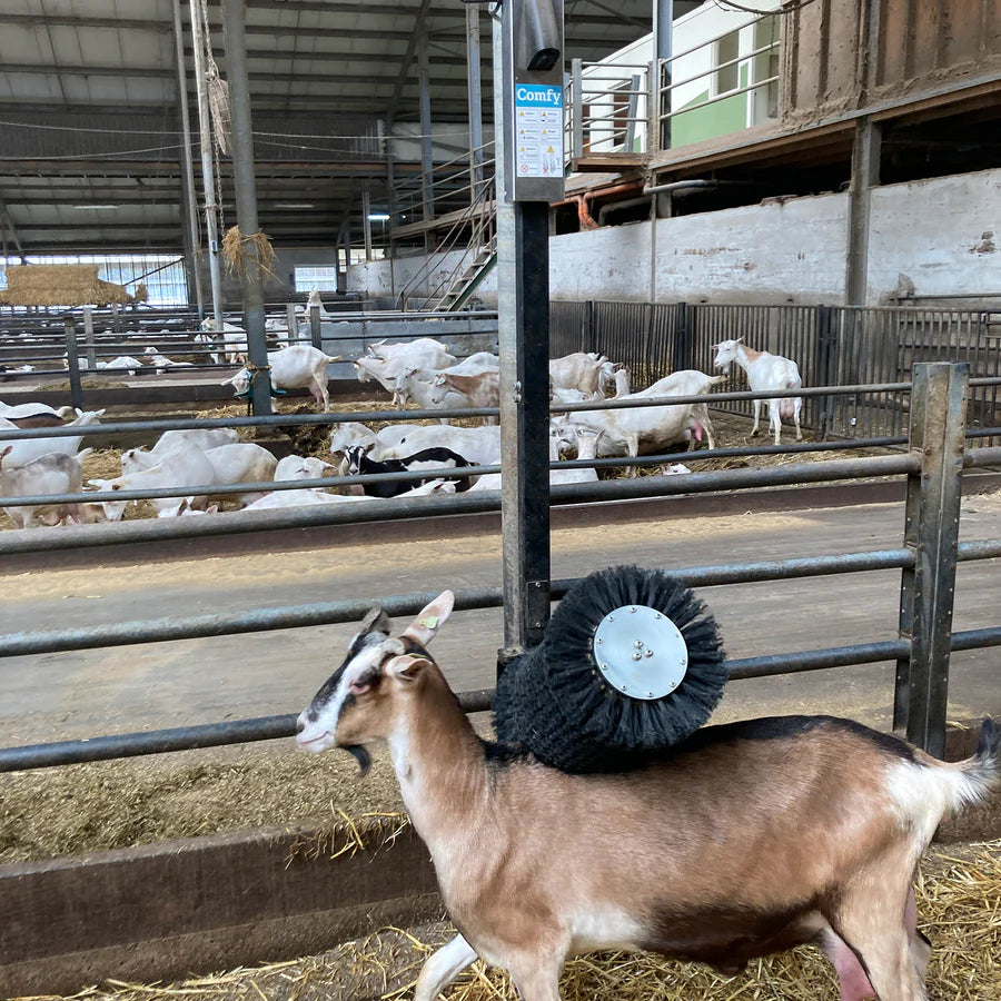 Ziegenbürste automatisch