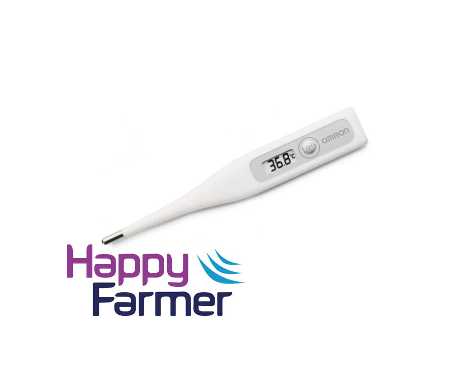 Fieberthermometer Digital