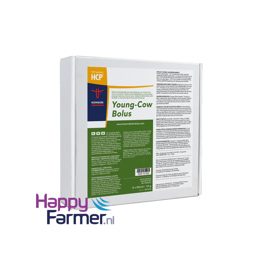 HCP Junger Kuhbolus