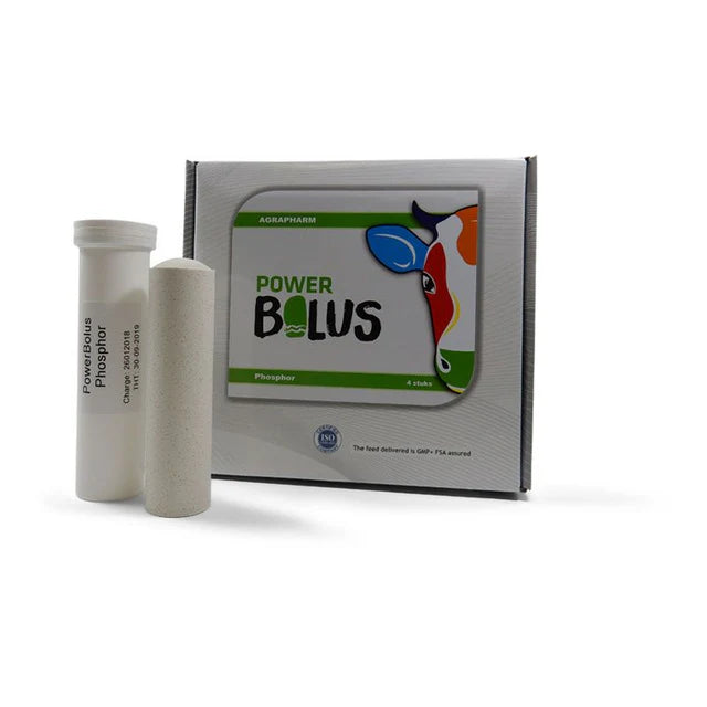 PowerBolus Phosphor 4er-Pack