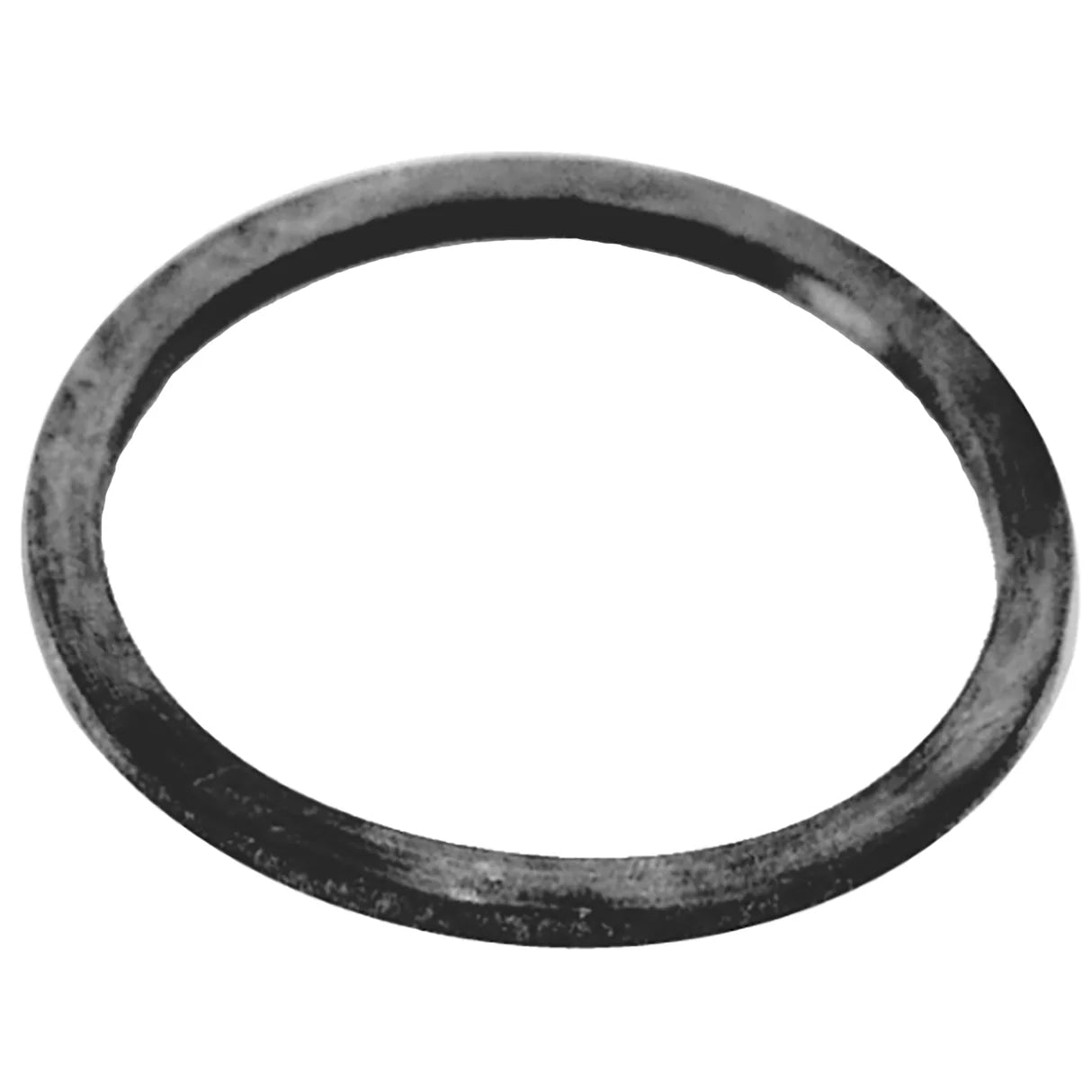 Ring für Gehäuse Innenfilter Lely entspr. 9.1042.0099.0